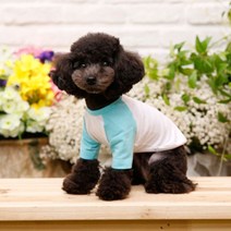 펫디자인 라인 나그랑 강아지 티셔츠, 민트