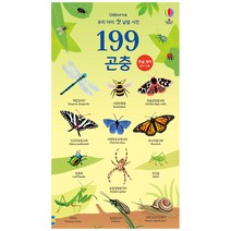 우리 아이 첫 낱말 사전 199 곤충, 어스본코리아