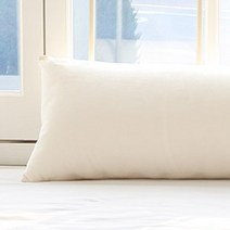 스타일공간 소프트 극세사 바디필로우, 아이보리