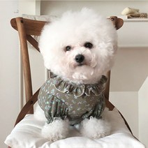 바이담수미 강아지 그랜마 티셔츠, 카키