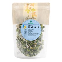 진도장모와 서울큰사위 진도 건조대파, 100g, 1개