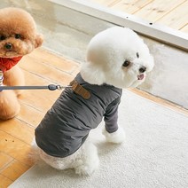 베니즈 반려동물 고고 하네스 패딩, 그레이