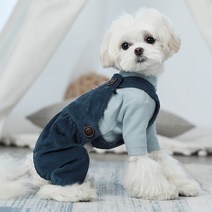 파스텔독 강아지 골덴 멜빵 올인원, 블루