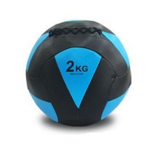 프로모릭스 파워 웨이트볼 2kg