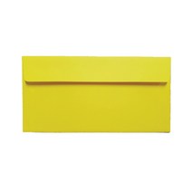 컬러색지 초대장 청첩장 리플릿 카드봉투 220 x 105 mm, 황색, 100개