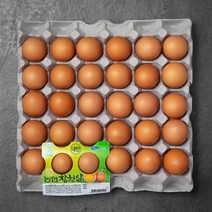 농협 참한알 무항생제 인증 대란 30구, 1560g, 1개