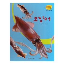 세밀화 자연관찰 32 오징어 물에 사는 동물, 한국헤밍웨이