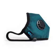 캠브리지마스크 프로 N99 성인용 패션 마스크 XL, 1개입, 1개, 왓슨