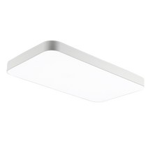 LED 심플 거실 2등 60W, 화이트
