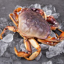 바이킹마켓 미국산 던지네스크랩, 950g, 1마리