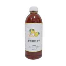 맛있는 자연 향긋한 황매실생강 원액, 1000ml, 1개