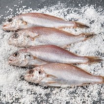 부산 13번 중매인 생물 소금간 백조기 4~6미 구이용 (냉장), 500g, 1개