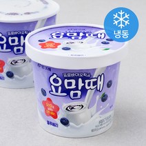 요맘때 블루베리 (냉동), 710ml, 2개