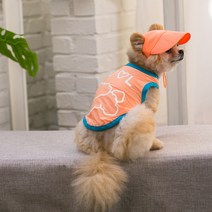 에이미러브즈펫 반려동물 야광 기능성 쿨링 티셔츠, 오렌지