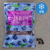 딜라잇가든 냉동 블루베리 (냉동), 1kg, 1개