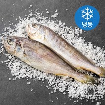 국산 영광 법성포 두마리 굴비 (냉동), 160g, 1팩