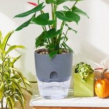 모리앤 원형 저면관수 화분, 그레이