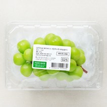 푸드베이스 산지직송 샤인머스켓, 500g, 1개