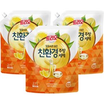 생활백서 주방 세제, 1L, 2개