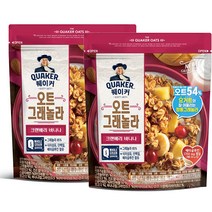 롯데제과 퀘이커 오트 그래놀라 시리얼 크랜베리 바나나, 200g, 2개입