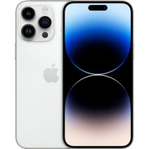 Apple 정품 아이폰 14 Pro Max 자급제, 실버, 1TB