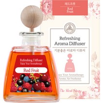 기분좋은 아로마 차량용 디퓨저 100ml, 레드프룻, 1개