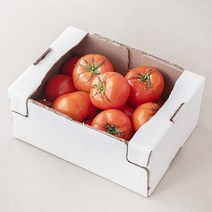 스마트팜 주스용 토마토, 5kg, 1박스