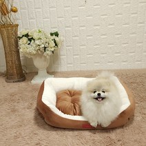 두기펫 반려동물 쏘옥 극세사 사각 방석, 브라운