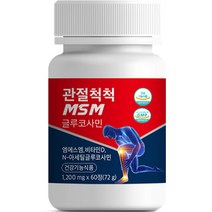 참굿즈 관절척척 MSM 글루코사민 72g, 60정, 1개
