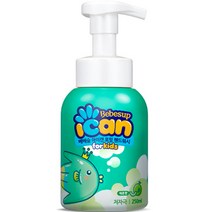 베베숲 아이캔 포밍 핸드워시 메론향, 1개, 250ml