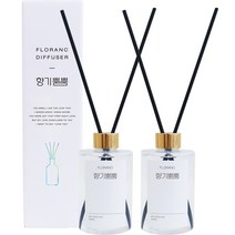 플로랑 디퓨저 향기뿜뿜 200ml x 2p, 플로랑향