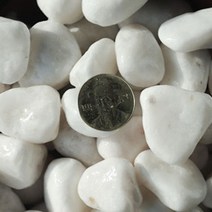 네이처굿즈 수아쿠아 백자갈 25~30mm 2kg, 2개