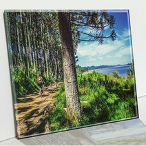 인테리어 유리 장식 A8브라질 트레킹 그림, 투명