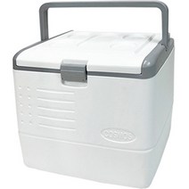 코스모스 캠핑 피크닉 레저 차량용 쿨러 아이스박스, 화이트, 24L
