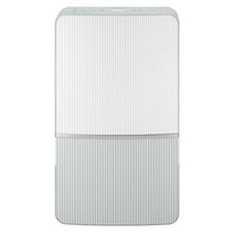 위닉스 인버터 뽀송 제습기 21L DXWE210-NGK
