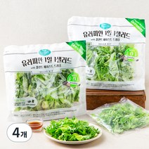 팜에이트 유러피안 1일 1샐러드 with 플랜트 베이스드 드레싱, 240g, 4개