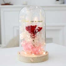 조아트 LED 플라워 유리돔 비누꽃 프리저브드, 카네이션레드