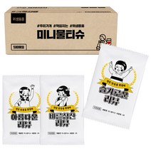 미니리뷰 S43 업소용 일매용 물티슈, 500매
