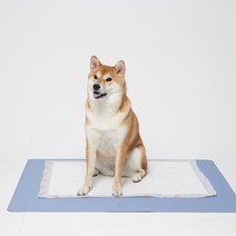 쉬즈곤 트릭매트 논슬립 강아지 배변매트, 파우더블루, 1개