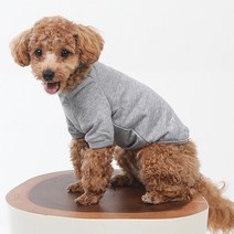 BABYDOG 반려동물 페리펫 티셔츠 DT021, 그레이