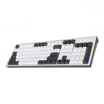 COX 이색사출 사이드 RGB 기계식 키보드 청축, CK01PBT, 그레이 + 화이트, 일반형