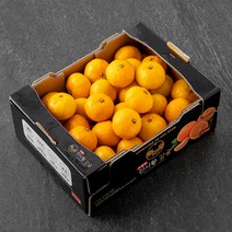 GAP 인증 진시황 고당도 감귤, 2.5kg, 1개