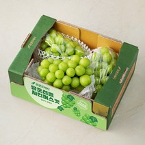 당도선별 샤인머스캣