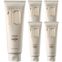 미쟝센 살롱 10 헤어트리트먼트 극손상모발용, 5개, 250ml