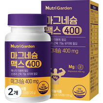 뉴트리가든 마그네슘 맥스400 120g, 2개