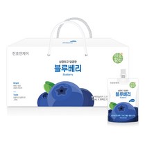 [주리네블루베리즙] 천호엔케어 상큼하고 달콤한 블루베리즙, 70ml, 30팩