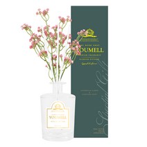 유멜 안개꽃 디퓨저 500ml, 피치코튼, 1개