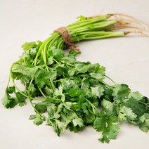 곰곰 국내산 고수, 100g, 1개