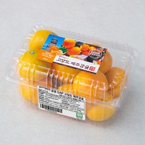 곰곰 GAP 고당도 하우스 감귤, 800g, 1박스