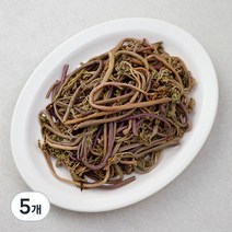 국내산 데친 고사리, 300g, 5개